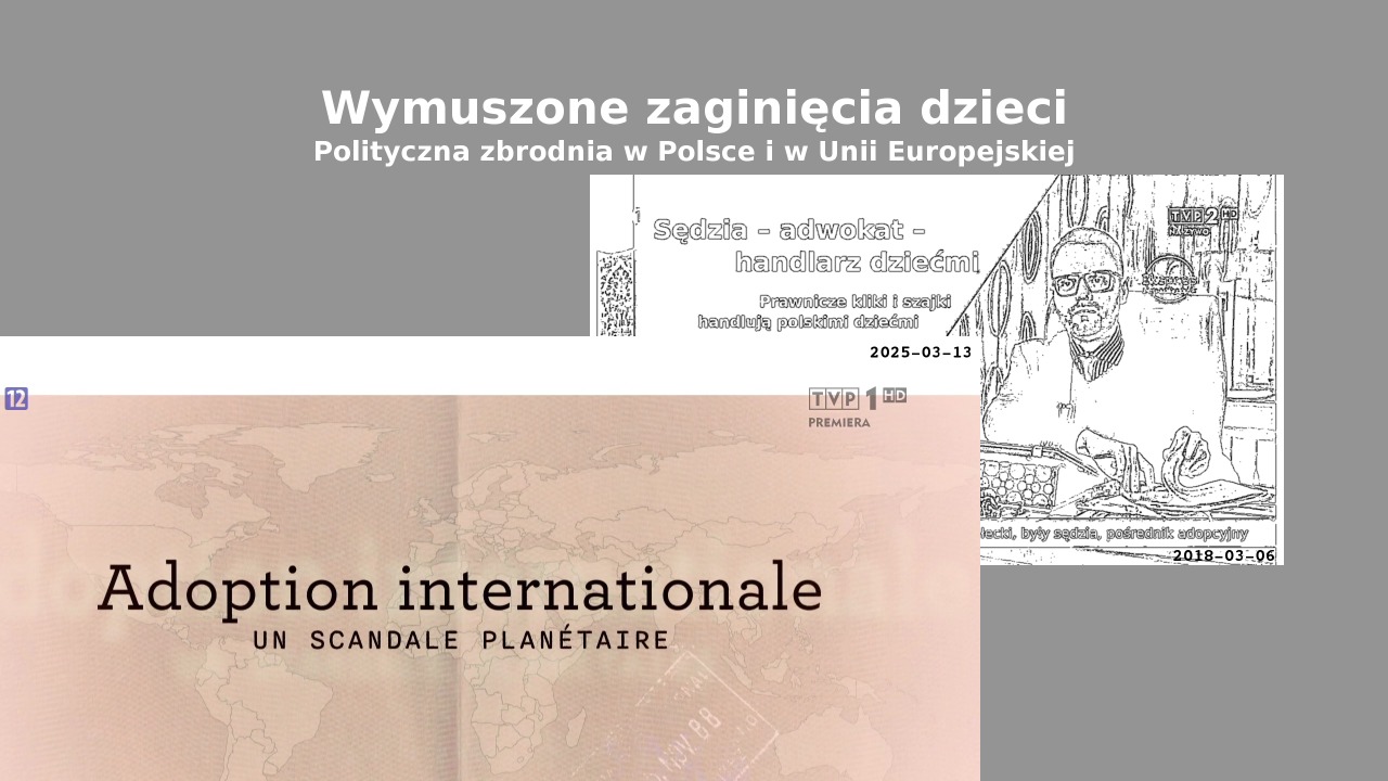 wymuszone-zaginiecia-dzieci-w-polsce-i-ue-tvp-20250313-720.jpg
